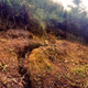 Illustration for article titled How To Recognize The Signs of an Impending Landslide